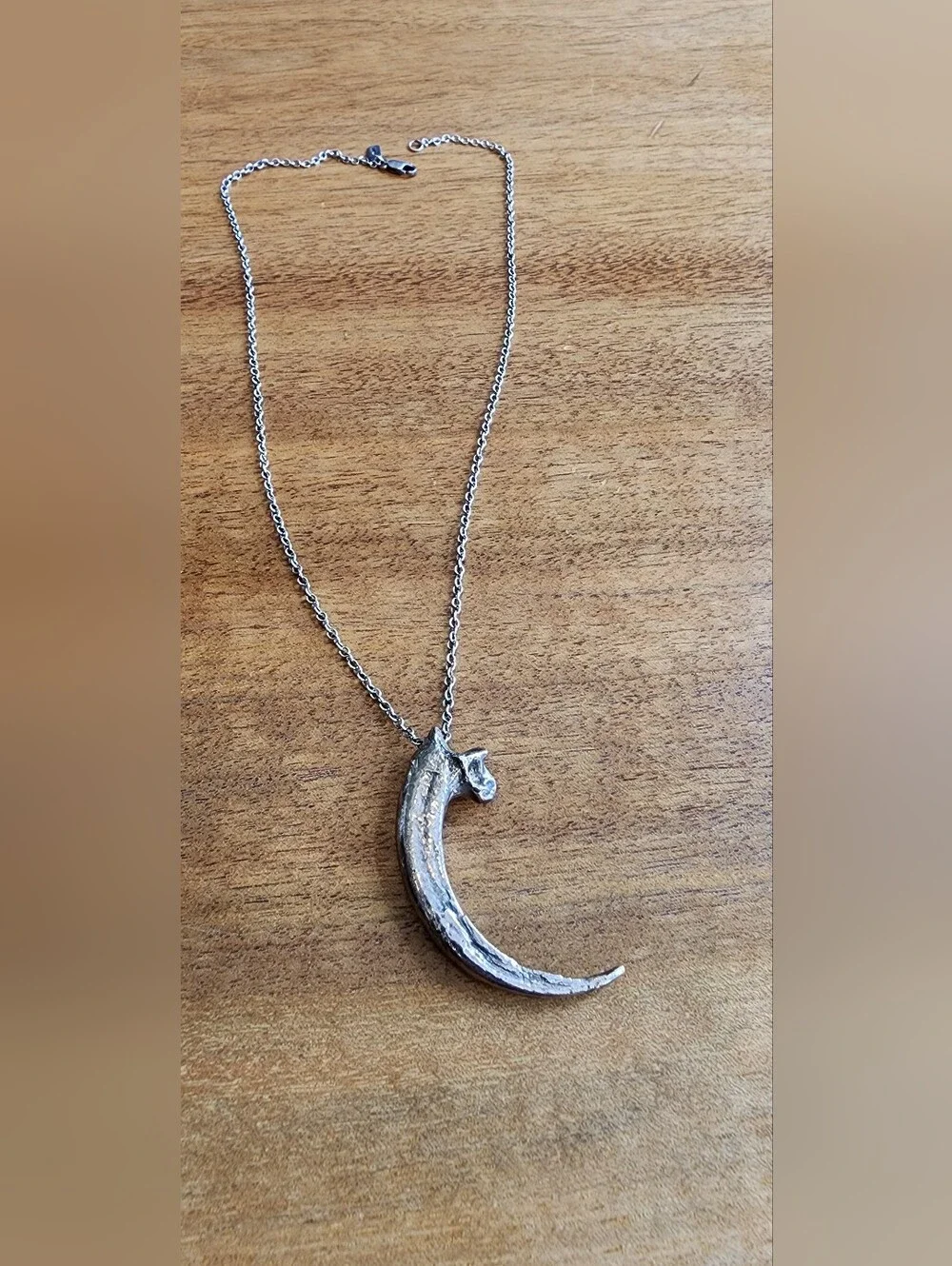 Pamela Love Rare Silver Eagle Talon Necklace - Picture 2 of 8